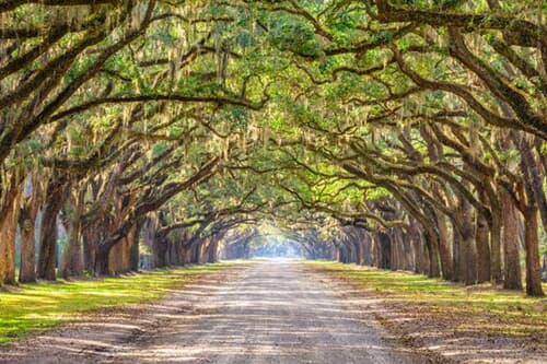 Savannah, Jekyll Island y Beaufort, SC