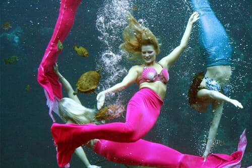 Tampa, Tarpon Springs y Weeki Wachee