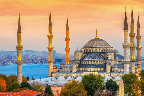 Splendid Turkey